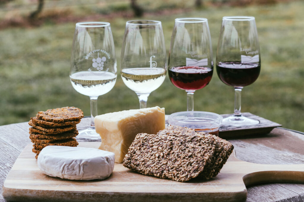 chelsea-pridham-MMOXoxE_Gj0-unsplash_EDIT