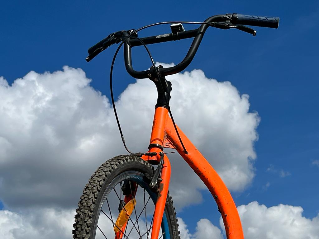 Coverausschnitt Wolkensammler