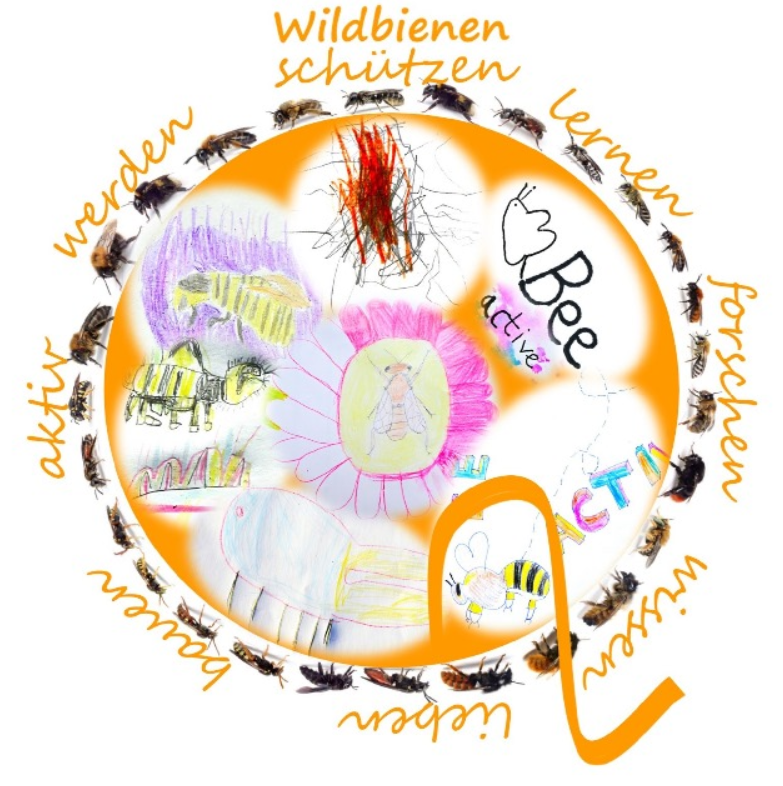 Screenshot 2024-10-28 213625