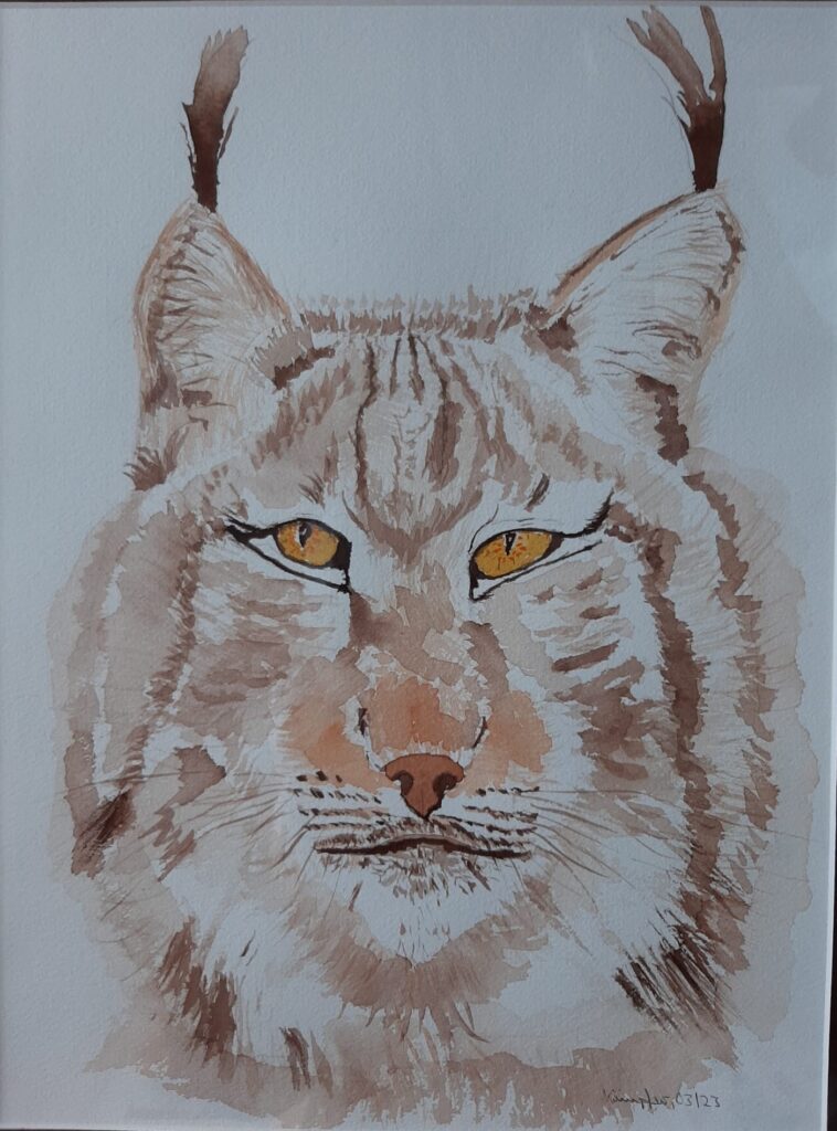 WhatsApp Bild 2025-01-18 um 09.29.15_c57f39fb