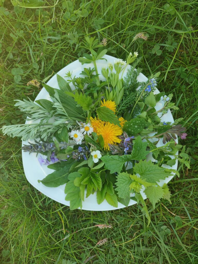 WhatsApp Bild 2025-04-29 um 17.16.08_e6559312